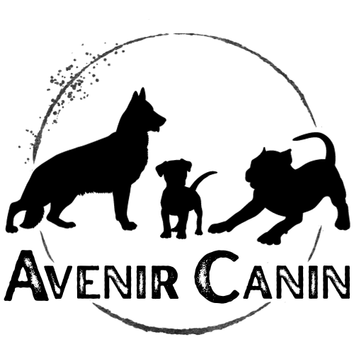 Avenir Canin