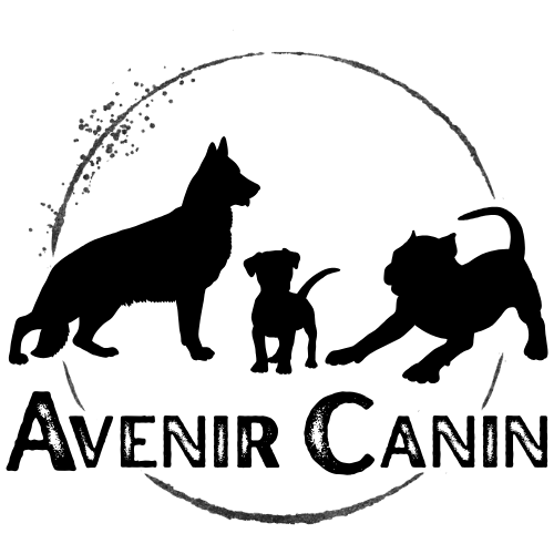 Avenir Canin